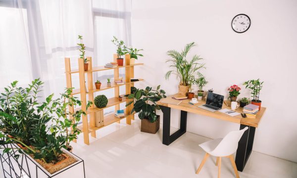 interior-of-business-office-with-green-plants-497PPNK.jpeg